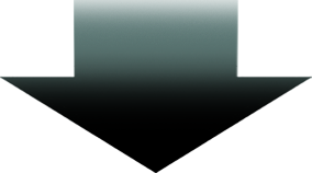 Portfolio Samples arrow